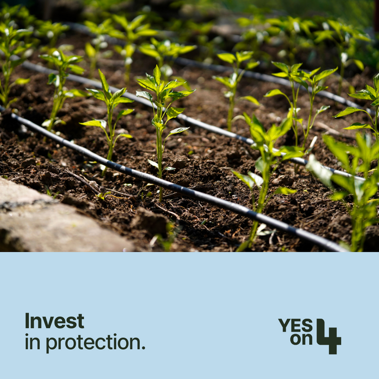 EEC_California's tweet photo. Prop 4 promotes climate resilience for CA farms
Conserving water &amp; improving soil health ensures CA’s farmers can continue producing healthy &amp; affordable food for our families! Prop 4 takes action NOW to improve the climate resilience of California's agriculture! #YesonProp4 https://t.co/lxFfByr61J