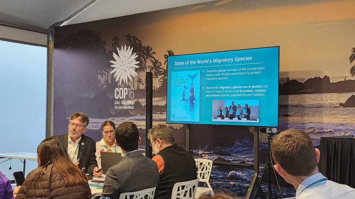 CECweb's tweet photo. 'Worldwide, #MigratorySpecies are in decline, but there is hope if we act now to protect, connect and restore species populations and habitats'

—Neville Ash, Director, @UNEP World Conservation Monitoring Centre (@unepwcmc), speaking on the State of the World's Migratory Species Report @BonnConvention at @UNBiodiversity #Cop16Colombia