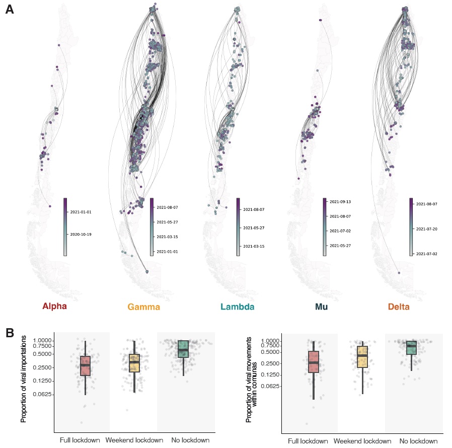 How did SARS-CoV-2 variants enter and spread throughout Chile during 2021? Results characterized the routes of  importation of different variants.

Exceptional team, <a href="/leoferres/">Leo Ferres</a> . Shout out to my now ex co-worker <a href="/salvadorayalap/">Salvador Ayala</a> 

Link: academic.oup.com/pnasnexus/arti…