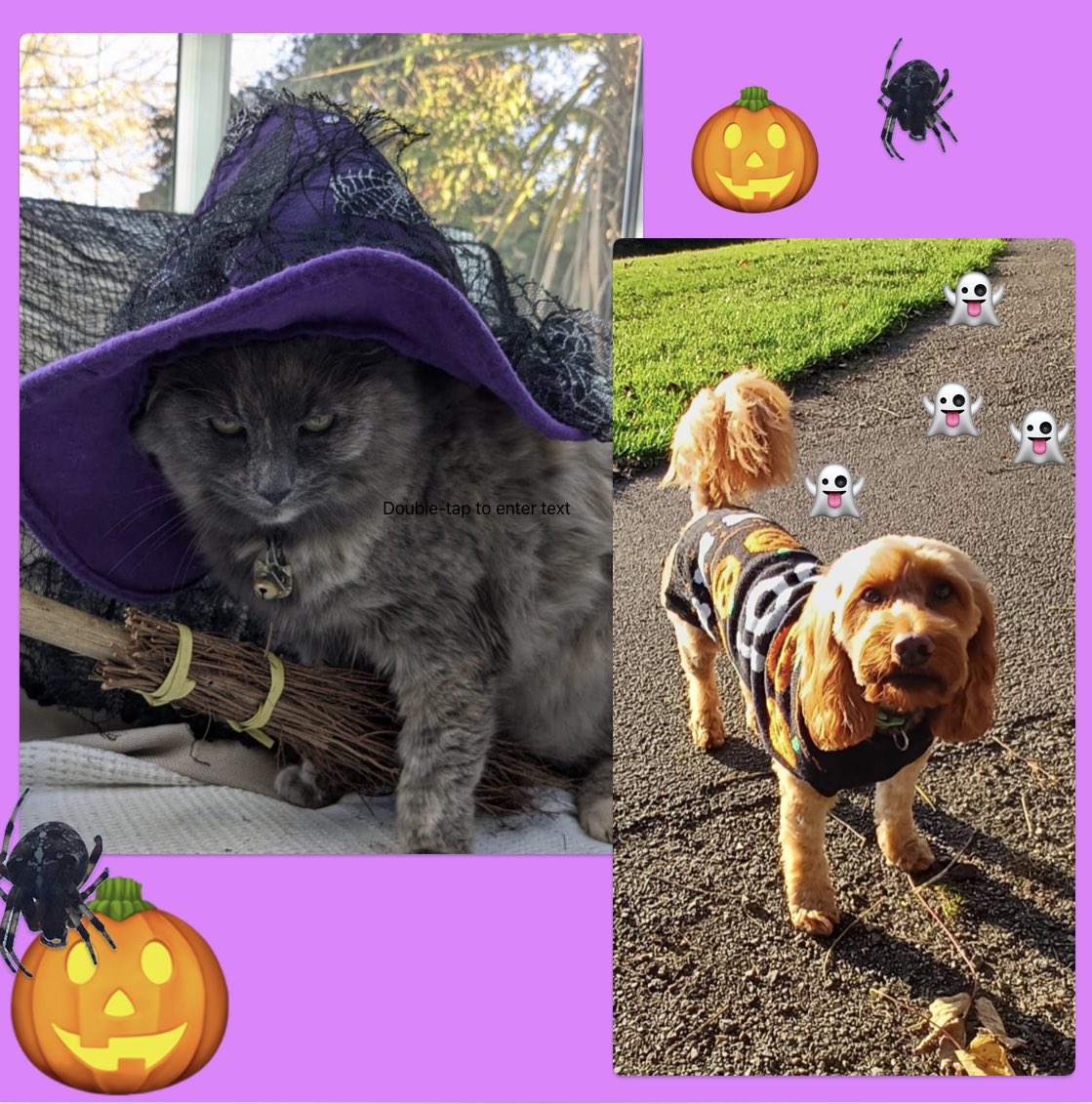 AntheaJames3's tweet photo. #HappyHalloween #TwitterFriends while daughters cat Dusty gives everyone the #TheEvilEye, her cousin, sons dog Pudel tells a tale about lots of little things chasing him. (actually it was a lot of little toddlers at a Halloween Festival at the park, wanted to see his coat 😂😂 https://t.co/eAmBcFiMKo