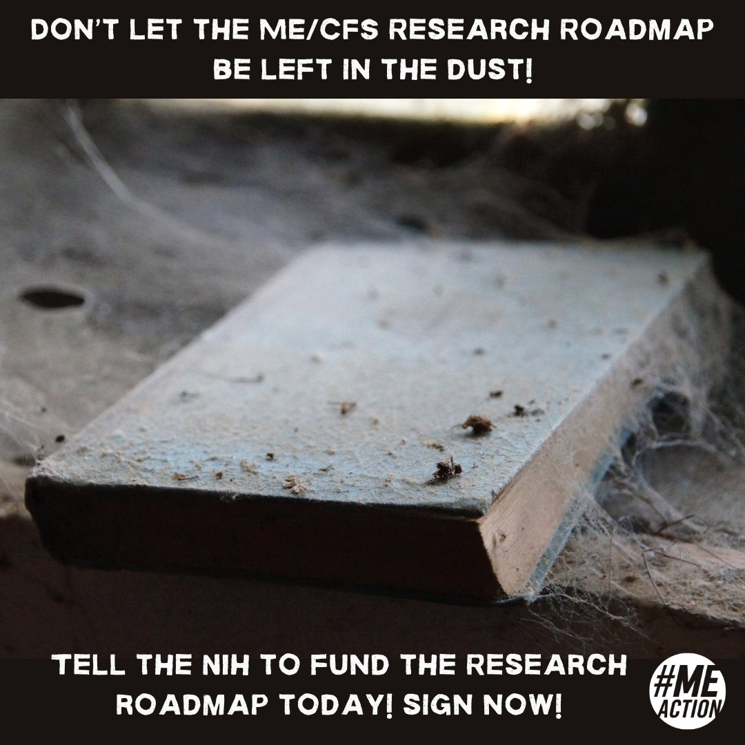 MEActNet's tweet photo. Do you have one or two free minutes this #Halloween? We are asking you to sign onto our urgent letter to the NIH director telling them to #FundMERoadmap now.
US signers: https://t.co/fwxMZ3DsGH
International signers: https://t.co/UD33Y739SE
#pwME #MECFS #longCovid https://t.co/BAwgpTrKt0