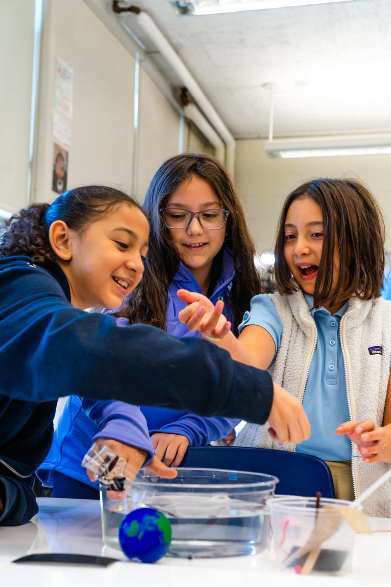 BostonSchools's tweet photo. Bradley Elementary School celebrated #MassSTEMWeek with help from @museumofscience &amp; @EiE_org. Students worked in small groups alongside @MassEducation Secretary Tutwiler and @massltgov to engineer plastic filters using everyday materials.
Learn more at https://t.co/zWMXdALQbe. https://t.co/U3jWneILSO
