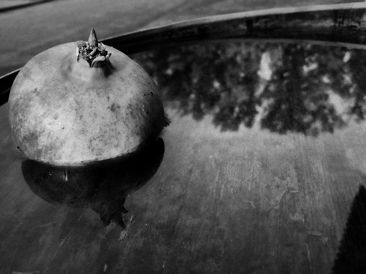laletraB's tweet photo. Al otro lado.
#fineartphotography #fineartphoto #symbols #pommegranate #persephone #myths #bwphoto #bwphotography #bwcreatives https://t.co/pZGwjxqspw