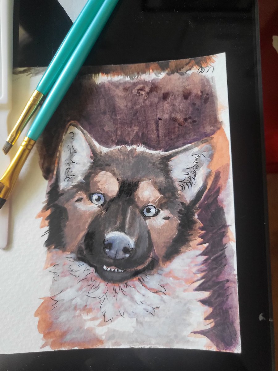 Camphorous (@camphorous) on Twitter photo 