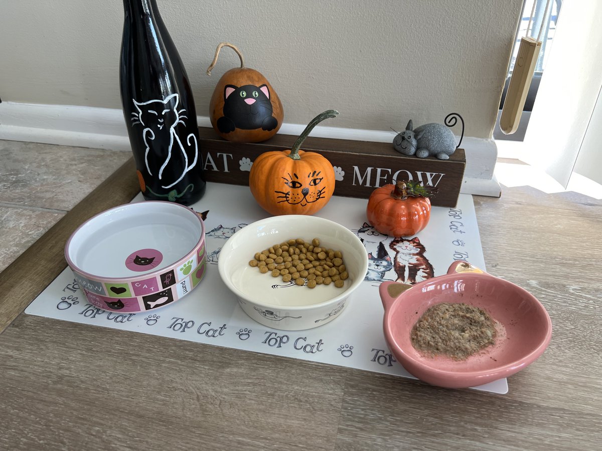 Smudge_Tipsey's tweet photo. Trick or treat? Treats for me of course!!😹
Happy #Halloween furriends! 🐾#CatsOfTwitter #CatsOfX #SuperSeniorCatsClub https://t.co/1vbXX3h6US