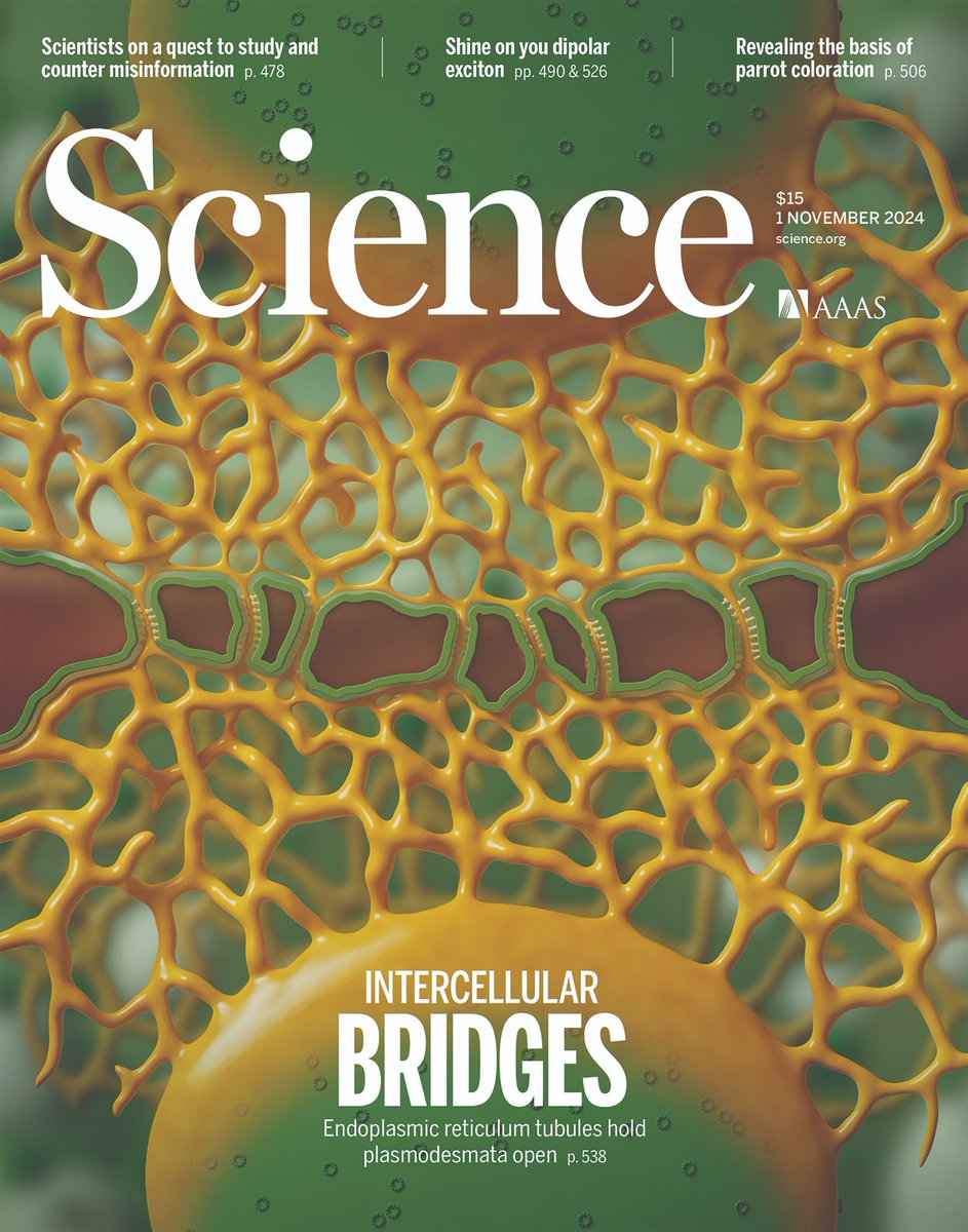 ISTAustria (@istaustria) on Twitter photo How do plant cells divide while staying connected through hundreds of tiny bridges called #plasmodesmata?
ISTA #postdoc Ziqiang Patrick Li and an international team of researchers mechanistically address this fundamental question.
Now on the cover of <a href="/ScienceMagazine/">Science Magazine</a> How do plant cells divide while staying connected through hundreds of tiny bridges called #plasmodesmata?
ISTA #postdoc Ziqiang Patrick Li and an international team of researchers mechanistically address this fundamental question.
Now on the cover of <a href="/ScienceMagazine/">Science Magazine</a>