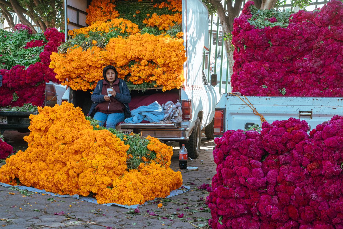dannychazari's tweet photo. Venta de flor de cempasúchil en la central de abastos 💀📸

Puebla, 2024 https://t.co/6iej58qWCA