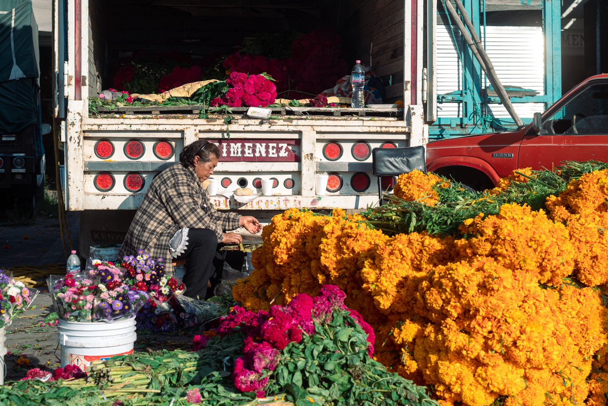 dannychazari's tweet photo. Venta de flor de cempasúchil en la central de abastos 💀📸

Puebla, 2024 https://t.co/6iej58qWCA