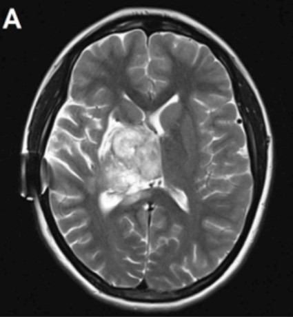 Doc Navarrow tweet media