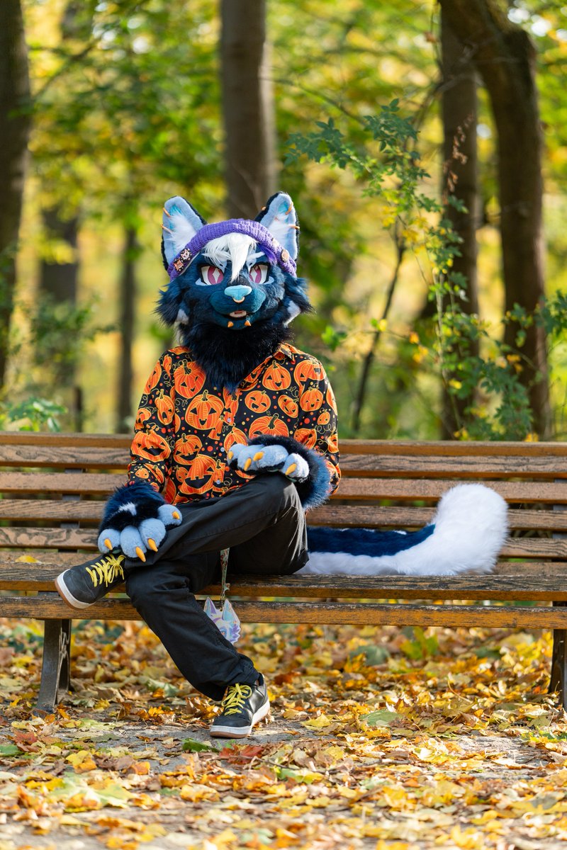 Happy Halloween y'all 🎃!

🪡: <a href="/tomacats_suits/">🍅TOMACATS 🐱</a> 
📷: @/Hochenhain