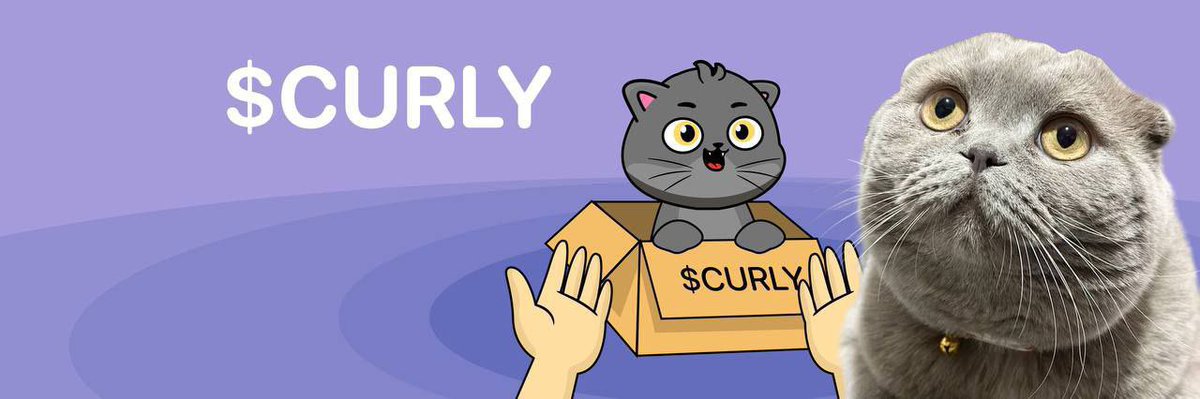 Mr. Whale tweet media