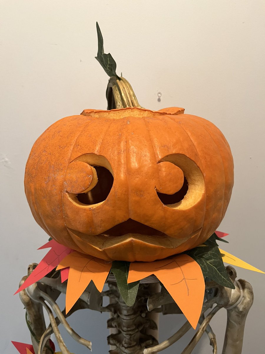 Phanto_Art's tweet image. Happy Spooktacle! I decided to do some Smunkin carving of Punkleton and Nitebear!

I even bought a full body skeleton and decorated it for Punkleton

#mysingingmonsters #Halloween #Spooktacle