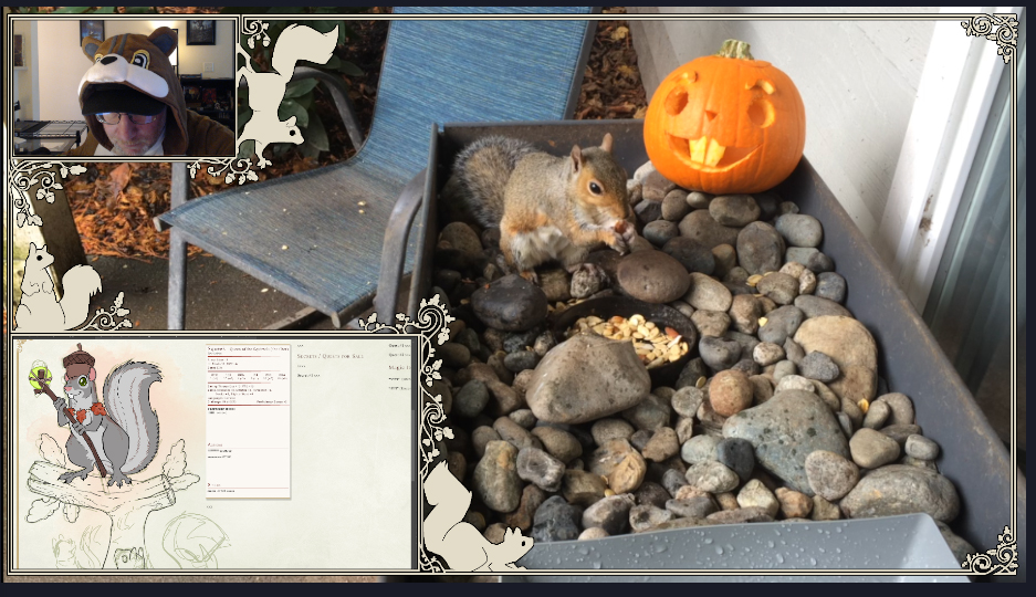 lukemckay's tweet image. #squirrel #SquirrelArmy Halloween Squirrel Cam