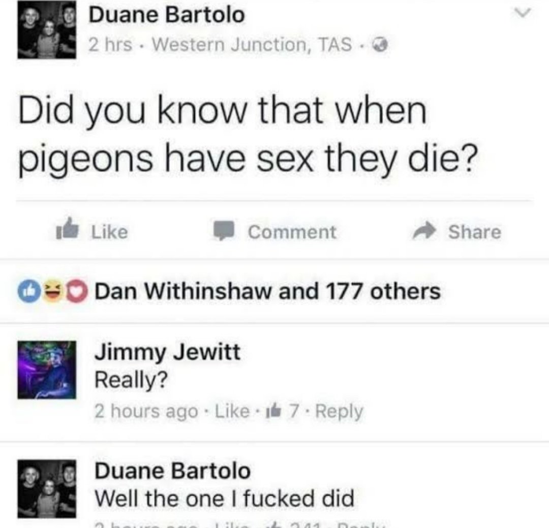 Wholesome Side of 𝕏 tweet media