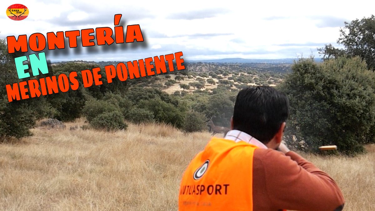 HOY A LAS 2️⃣1️⃣:3️⃣0️⃣ NUEVO VIDEO‼️⤵️

😁💥 MONTERIA EN MERINOS DE PONIENTE 🫎 (2024/2025) Cazando con MONTEROS DE SOPETRAN 🐗🐕

#cazaesp #cazamayor #monteriaenextremadura #monteria #monterosdesopetran