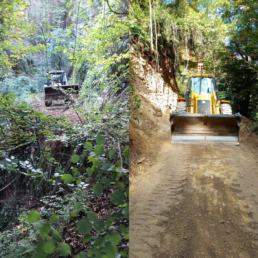 Cooperativa Forestal tweet media