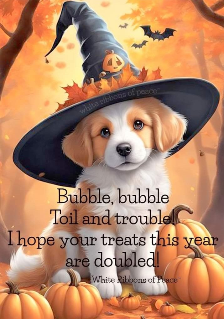 Happy Halloween 🦇 🎃 🧙‍♀️