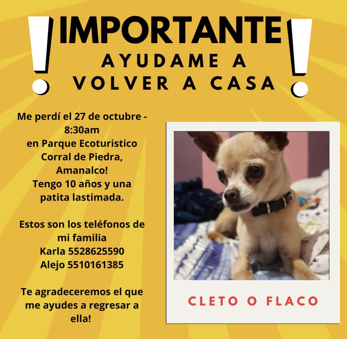 juanislas's tweet photo. ¿Me regalan un RT? Es el perrito de unos amigos. Cualquier cosa con @alejandroferia y @KarlaNGZ. Gracias. 🙌🏽
@FundacionToby @SuavesLomitos @PrrosPerdidosMX @DiloConPerritos @firulaisasalvo https://t.co/74kyLDI9l3