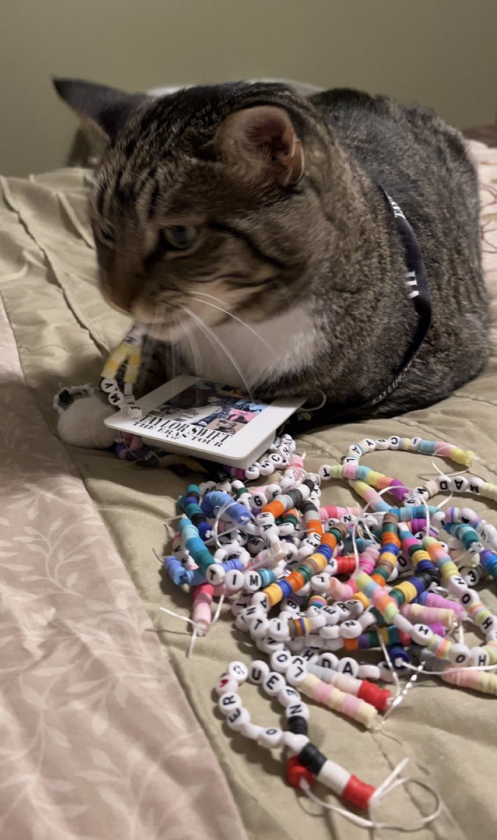 Frank the cat is ready for Indianapolis! Can’t wait for this weekend!! 

<a href="/taylorswift13/">Taylor Swift</a> <a href="/tswifterastour/">The Eras Tour</a>