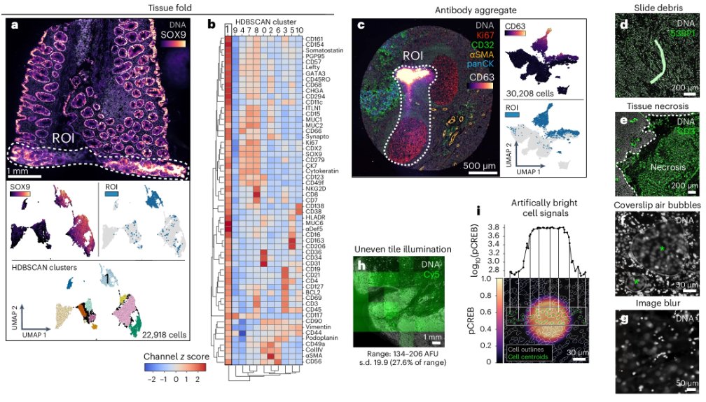 Out yesterday from Baker, Sorger, and colleagues, comes CyLinter--quality control software for high-plex tissue profiling. nature.com/articles/s4159…
