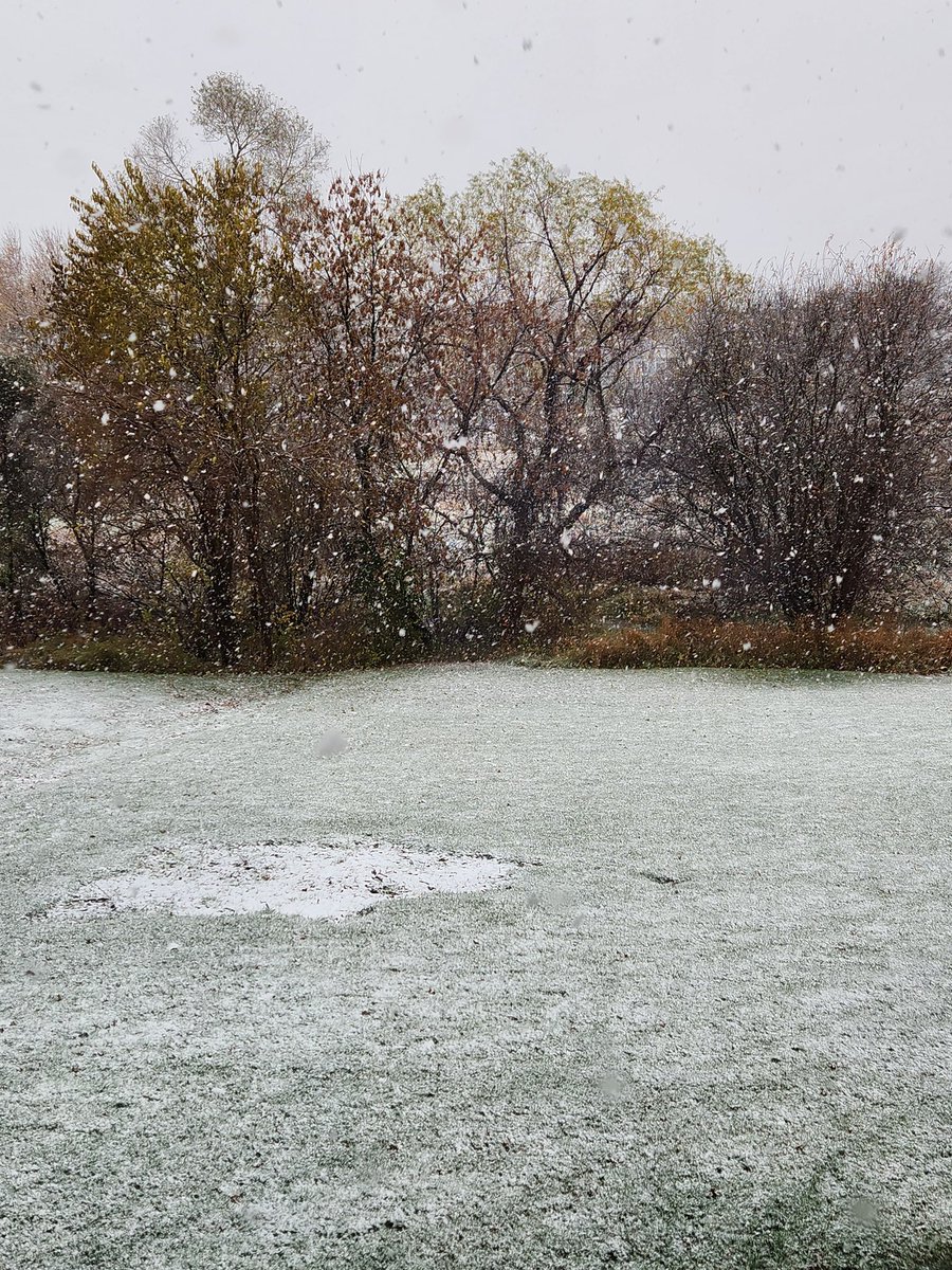 Heather Rule tweet media