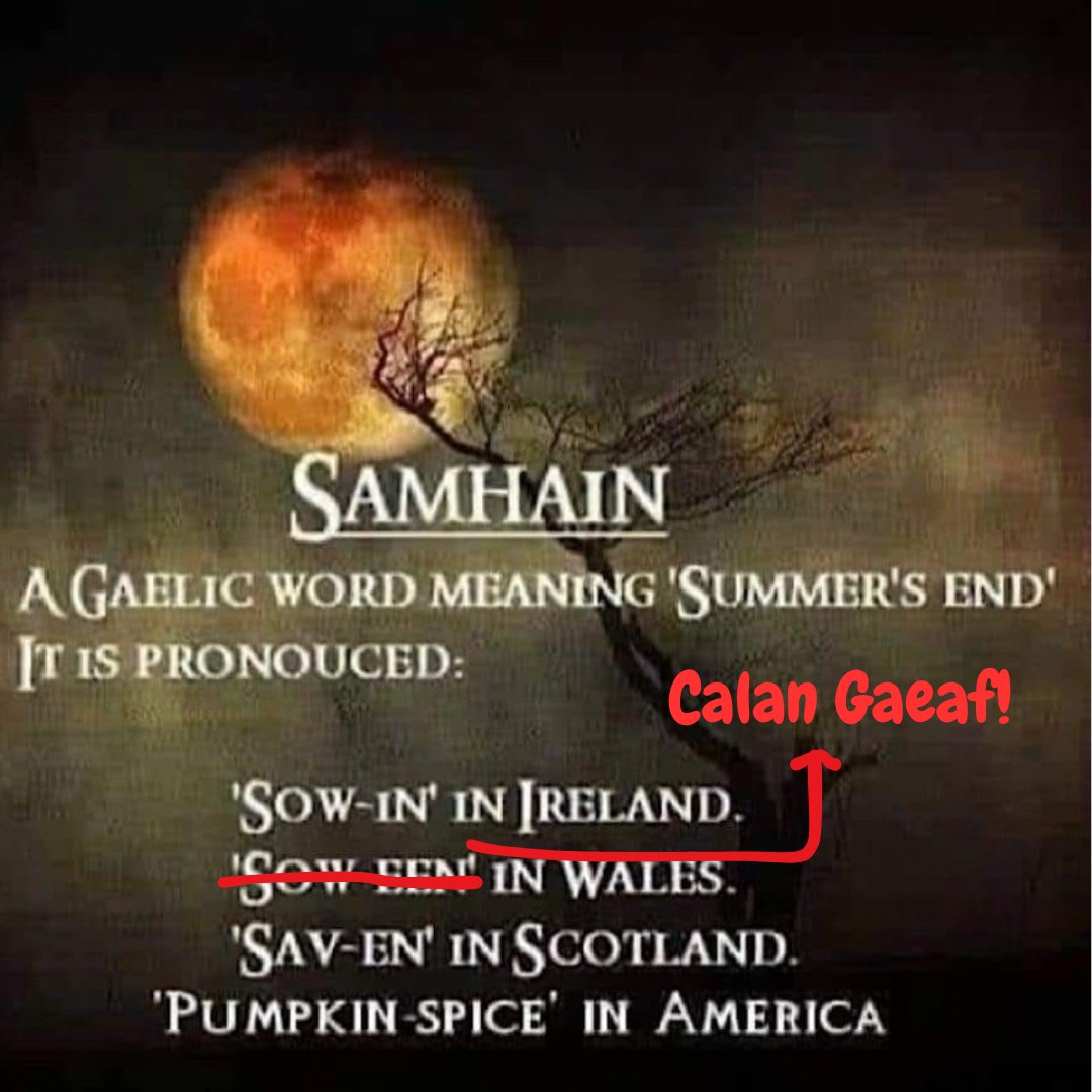 welsh_ns's tweet image. NOPE!!!!  
This goes meme around every few years and gets us absolutely tampin'!!!
So, once again, it is NOT called "Soween" (or any variation of it) in Wales. There, we fixed it for ya!

Nos *Calan Gaeaf* Hapus!
#CalanGaeaf