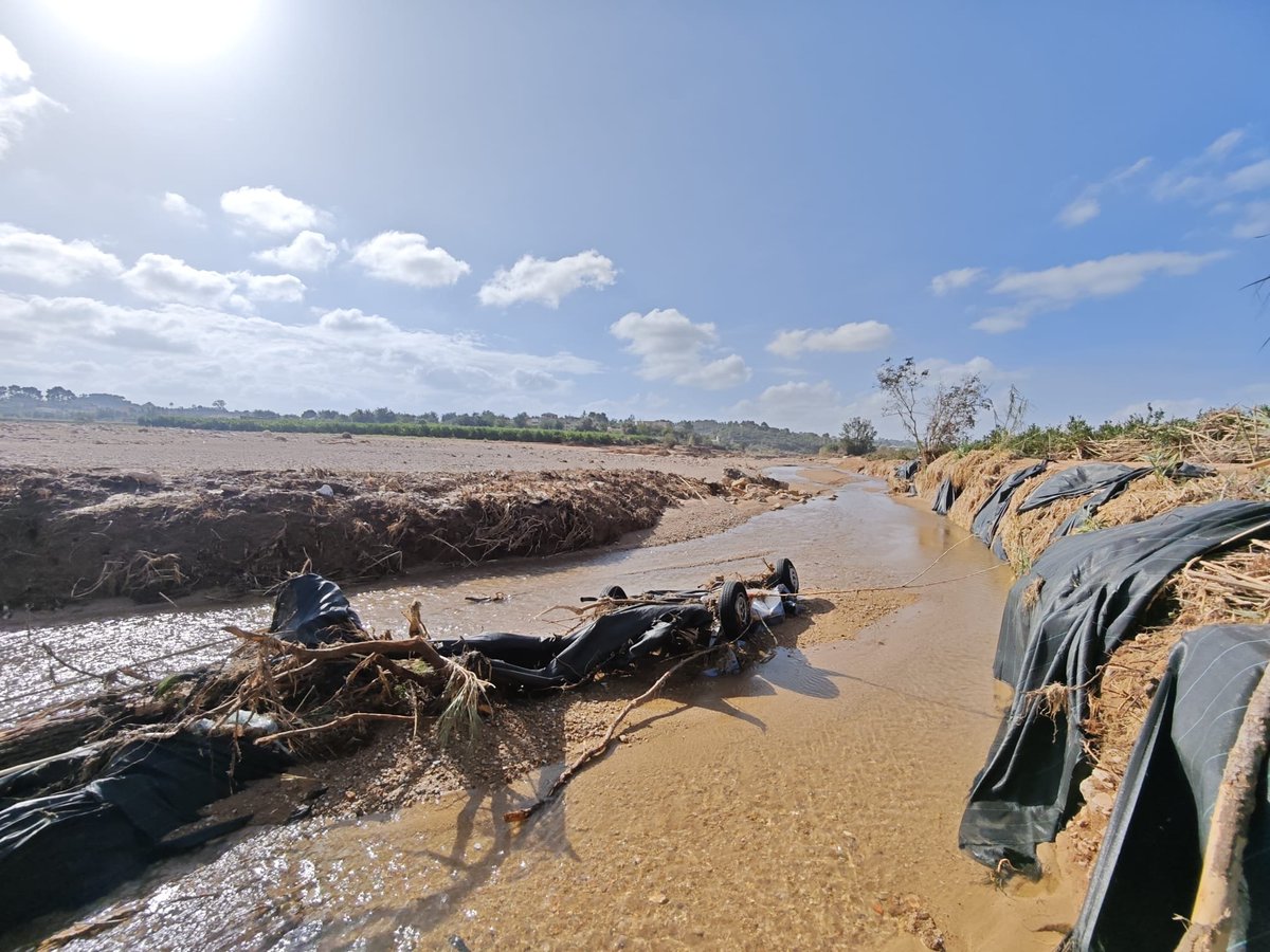 El pluviómetro de la Mojonera de <a href="/sisritel/">Sisritel</a> (entre Godelleta - Turís - Calicanto) registró 784.4 l/m2 el día 29/10/2024. A falta de confirmación, es probablemente el registro de mayor intensidad jamás observado en España. Las fotos a escasos km avalan este extraordinario evento.