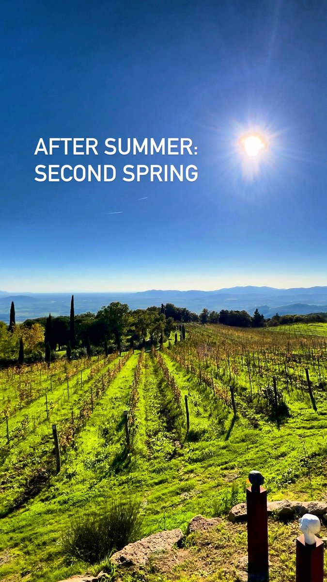„Second Spring“ in Valdonica #breathtakingviews #valdonica #valdonicarestaurant #maremma #toscana #naturalwines #naturalwinelover #vinummagazin  #winetour #instawine #tuscany #visittuscany #organicwine #organicwinery #vermentino #sangiovese #wineenthusiast