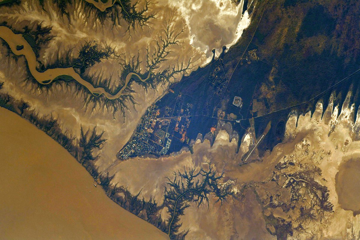 Même la planète 🌍 revêt son costume le plus effrayant pour Halloween !  👻 Ce paysage de la côte nord australienne 🇦🇺 prend des airs inquiétants et surnaturels, au point qu’on se croirait dans Stranger Things ou un film de Tim Burton… alors qu’on n’assiste qu’au spectacle du