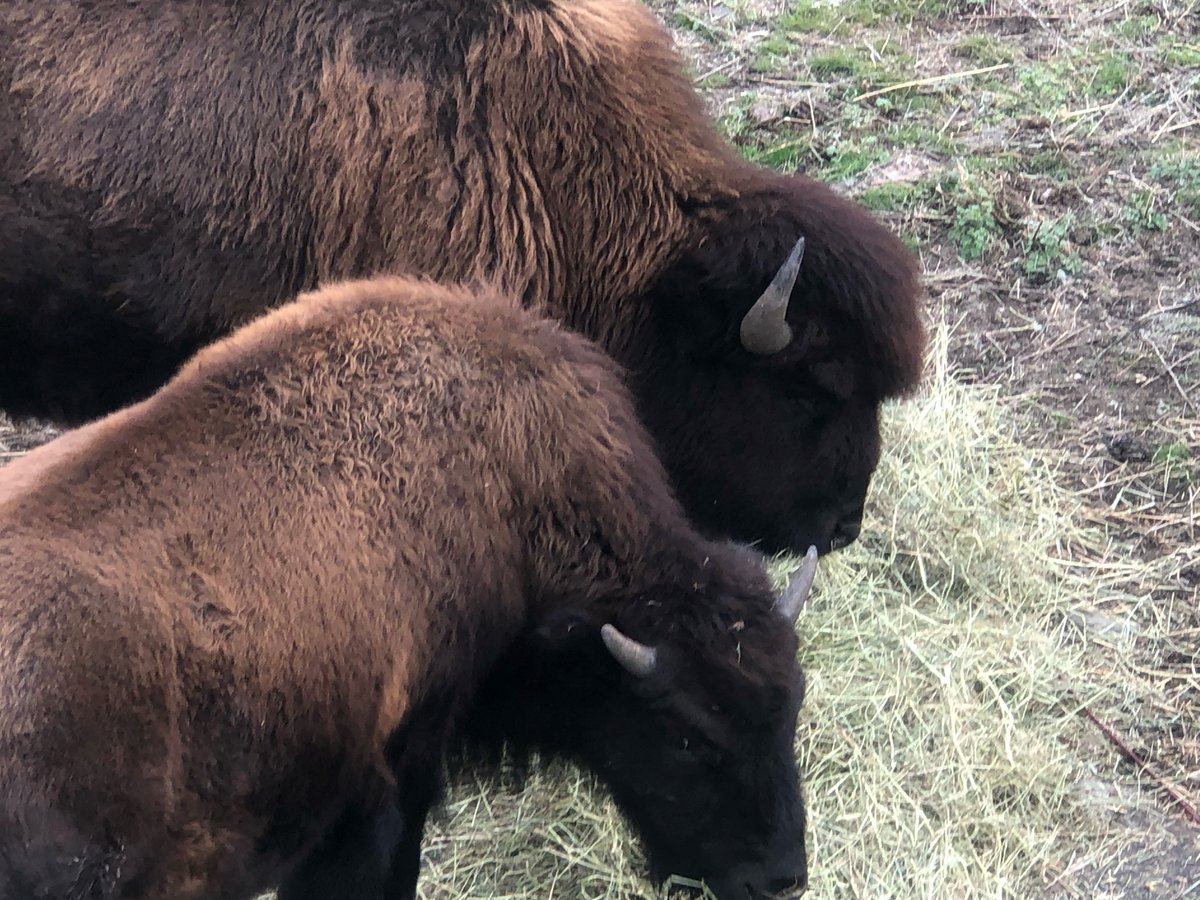 Fulton Secondary tweet media