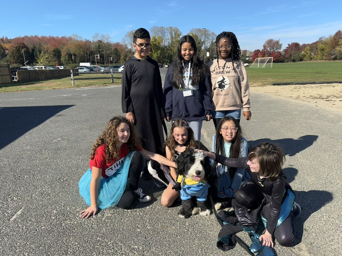 Archie THE Therapy Dog tweet media