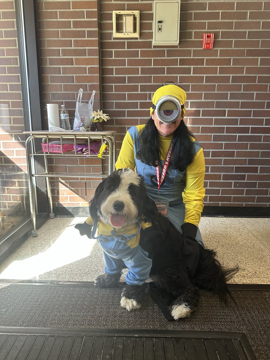 Archie THE Therapy Dog tweet media