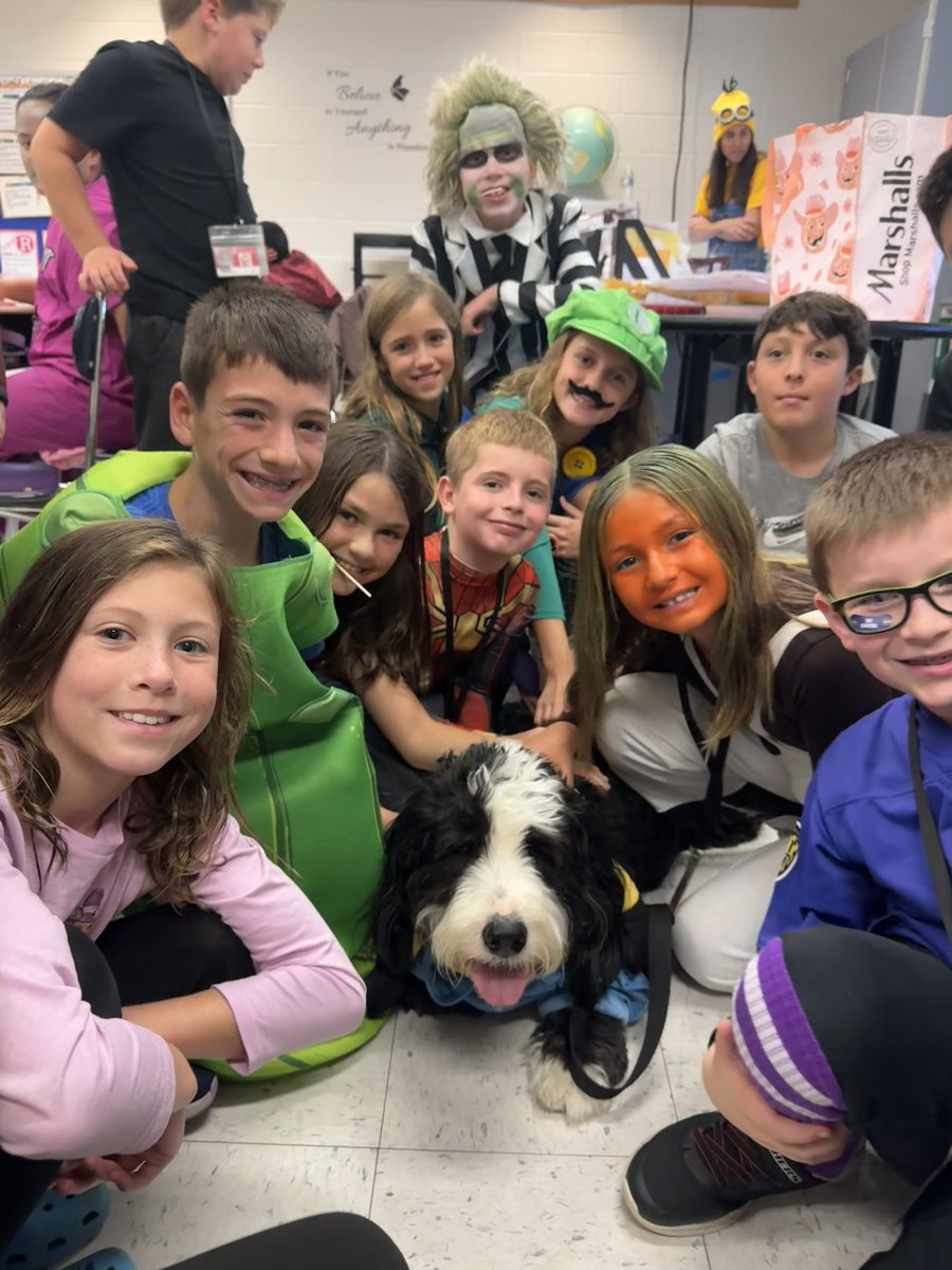 Archie THE Therapy Dog tweet media