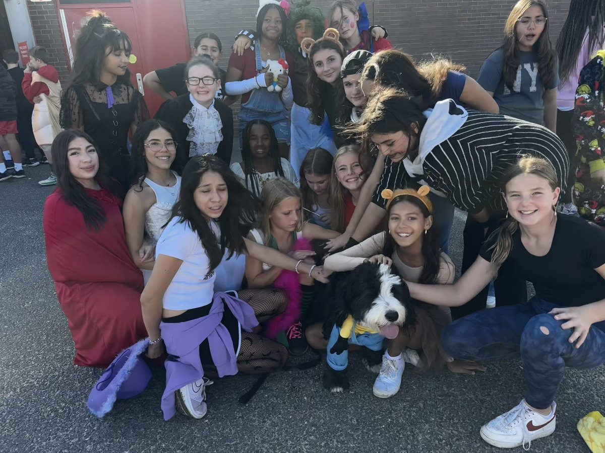 Archie THE Therapy Dog tweet media