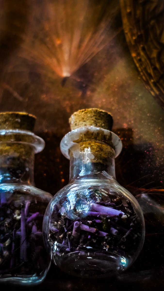 Purple pacific sea urchin spines in mini jars.