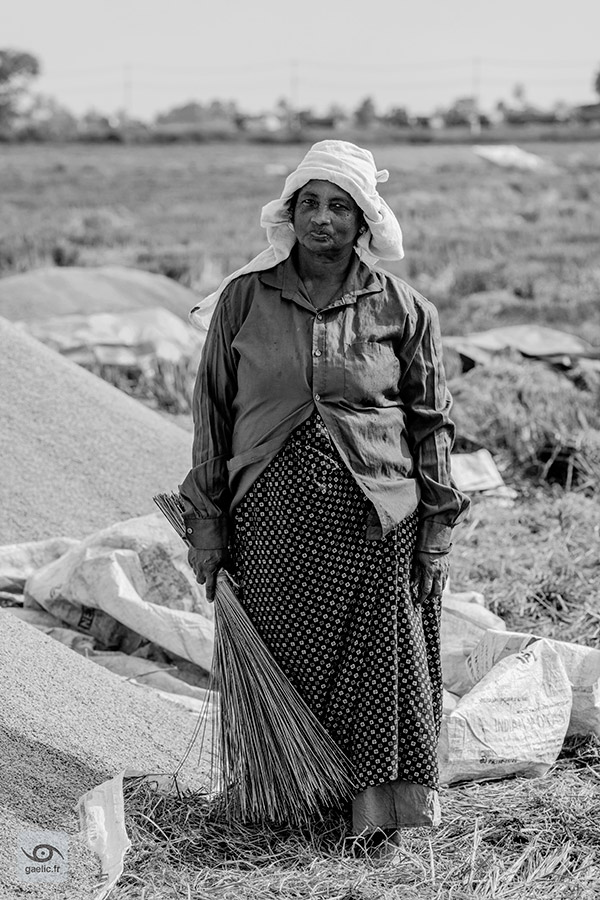 gaelic69's tweet photo. Portrait of a rice harvesting woman

2023-11-18 India, Kerala, Alappuzha (Alleppey)
https://t.co/WqY7zNiPch

#travel #india #photography #streetphotography #portrait #bw #gaelic69 https://t.co/F7SsAP81df