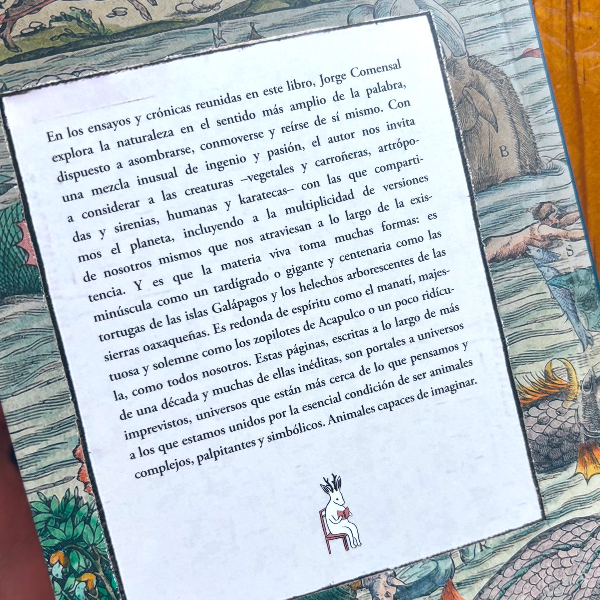 ¡Ya llegó, ya está aquí, esta maravilla de <a href="/jorgecomensal/">Jorge Comensal</a>! 🎉📦

La próxima semana empieza a llegar a librerías a través de <a href="/nadiedistribuye/">Nadie Distribuye</a>, y anunciaremos la presentación en unos días. 🦀

Si se te cuecen las habas, puedes leer un adelanto acá: tinyurl.com/mv7uns22