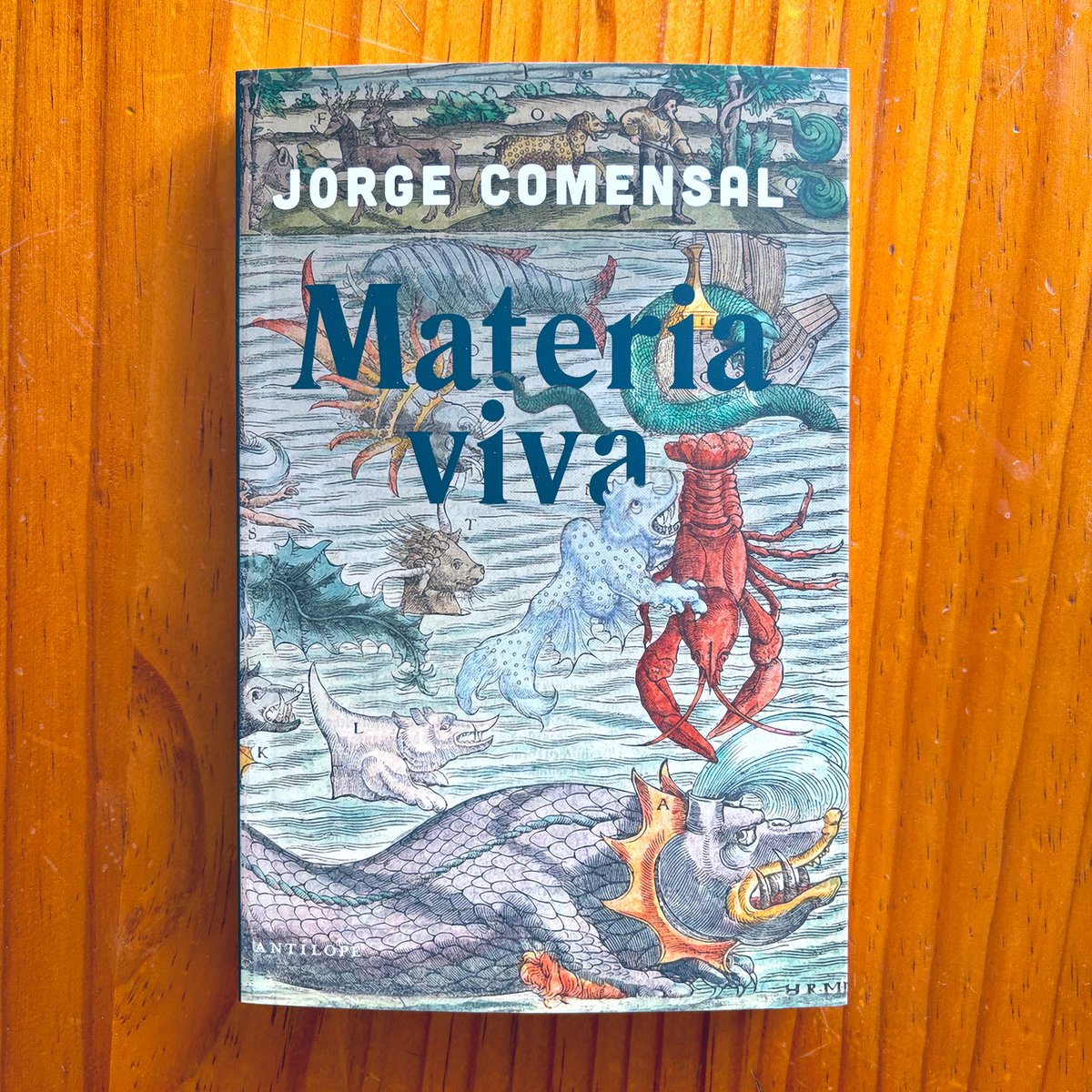 edantilope's tweet photo. ¡Ya llegó, ya está aquí, esta maravilla de @jorgecomensal! 🎉📦

La próxima semana empieza a llegar a librerías a través de @nadiedistribuye, y anunciaremos la presentación en unos días. 🦀

Si se te cuecen las habas, puedes leer un adelanto acá: https://t.co/lKIxz4Bpn4 https://t.co/XYAtH6EyHI