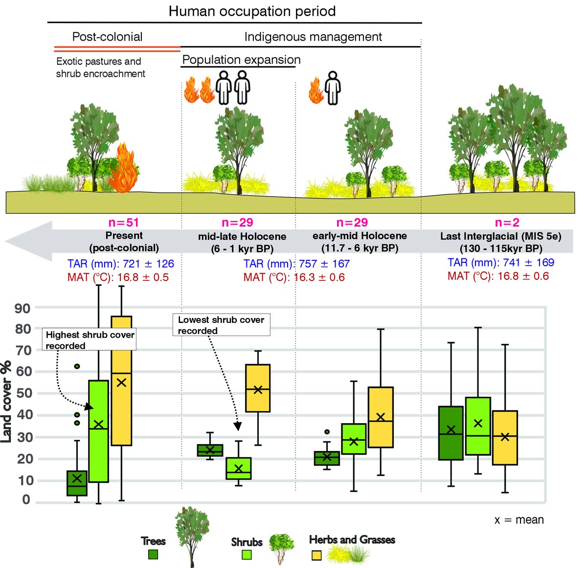 We found a 50% decline in shrub cover during the Holocene, which is likely due to Indigenous fire use. Since British colonisation, shrub cover has surged to 35%, raising the risk of high-intensity fires 🔥 enabled by climate change 🌡️