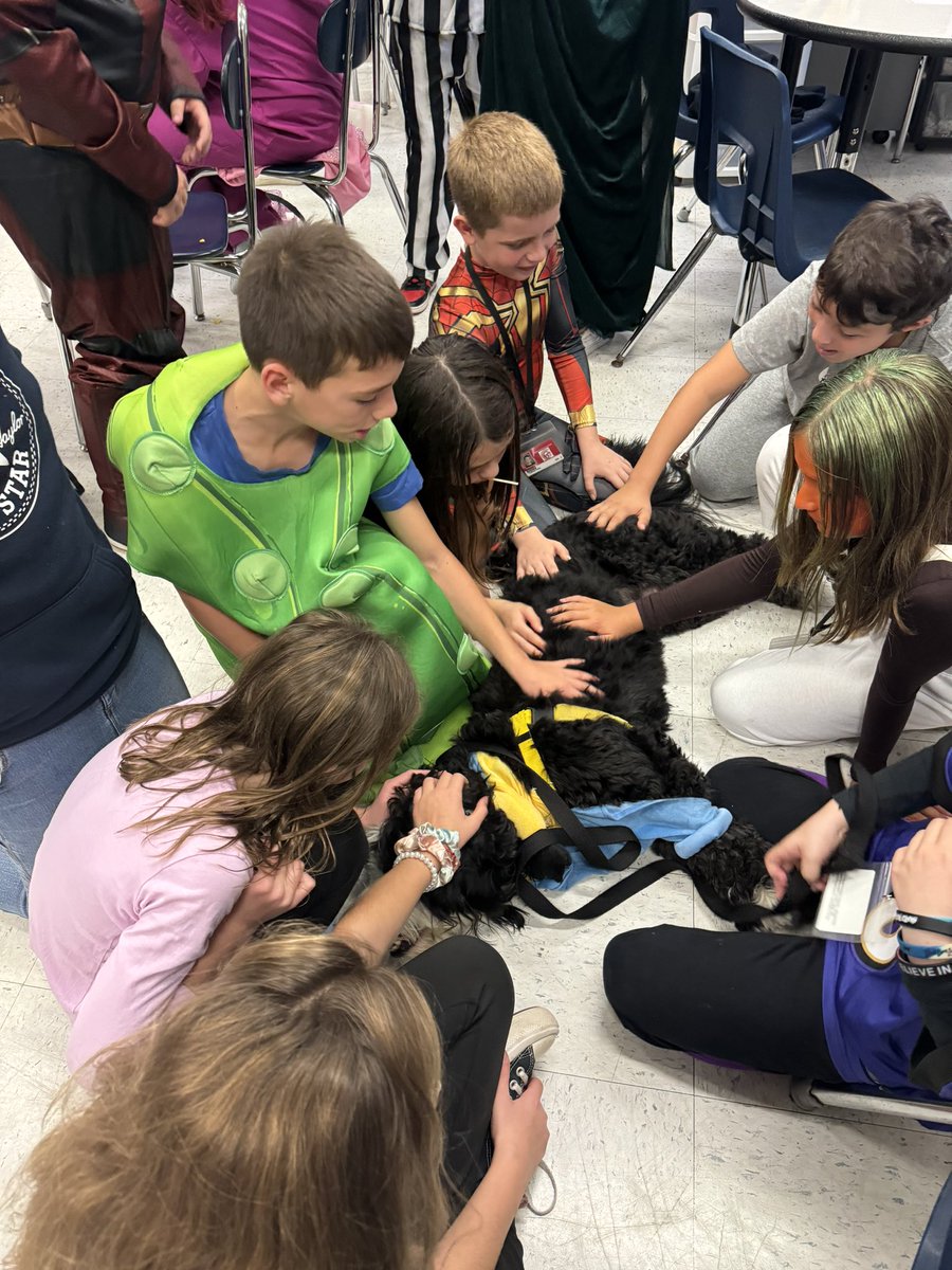 Archie THE Therapy Dog tweet media