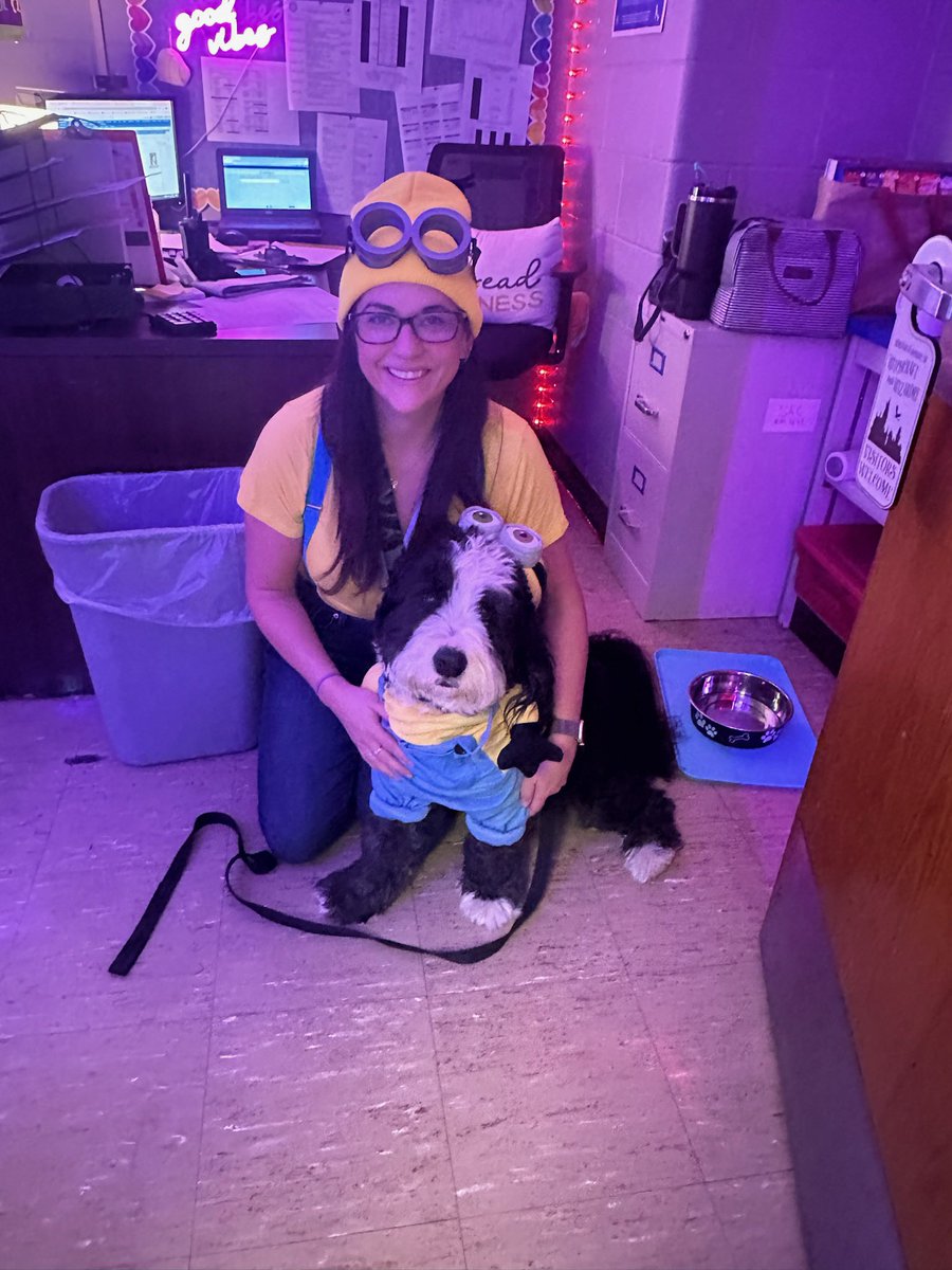 Archie THE Therapy Dog tweet media