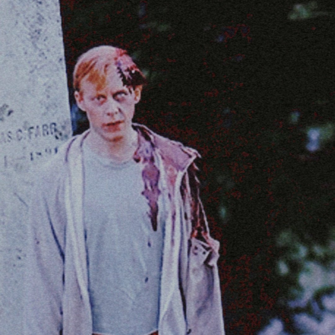 m. diane tweet media