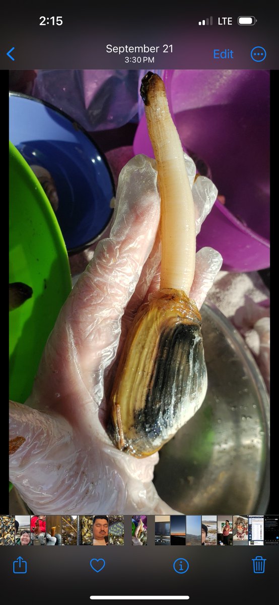 eelata's tweet image. For my love of #clams!  Happy Halloween!