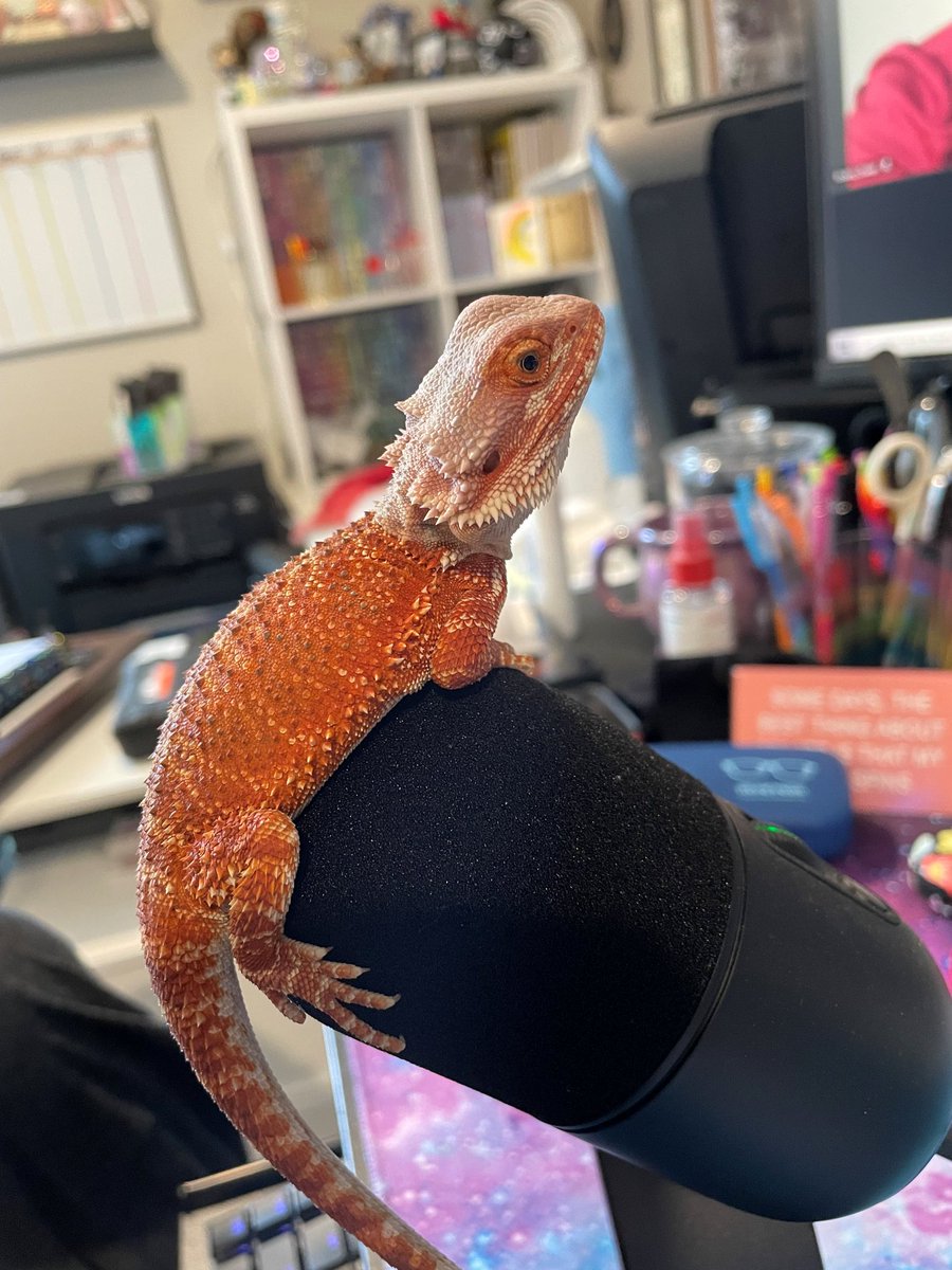EpsilonArts's tweet photo. What's this? A new challenger... https://t.co/qrBxscRSoQ
