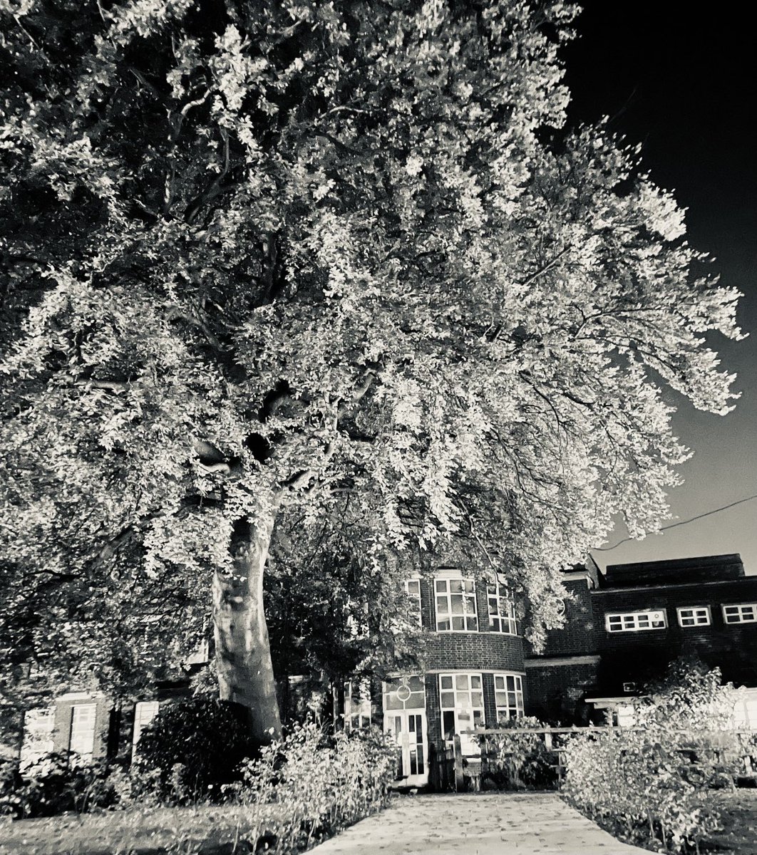 Gemma Gibson tweet media