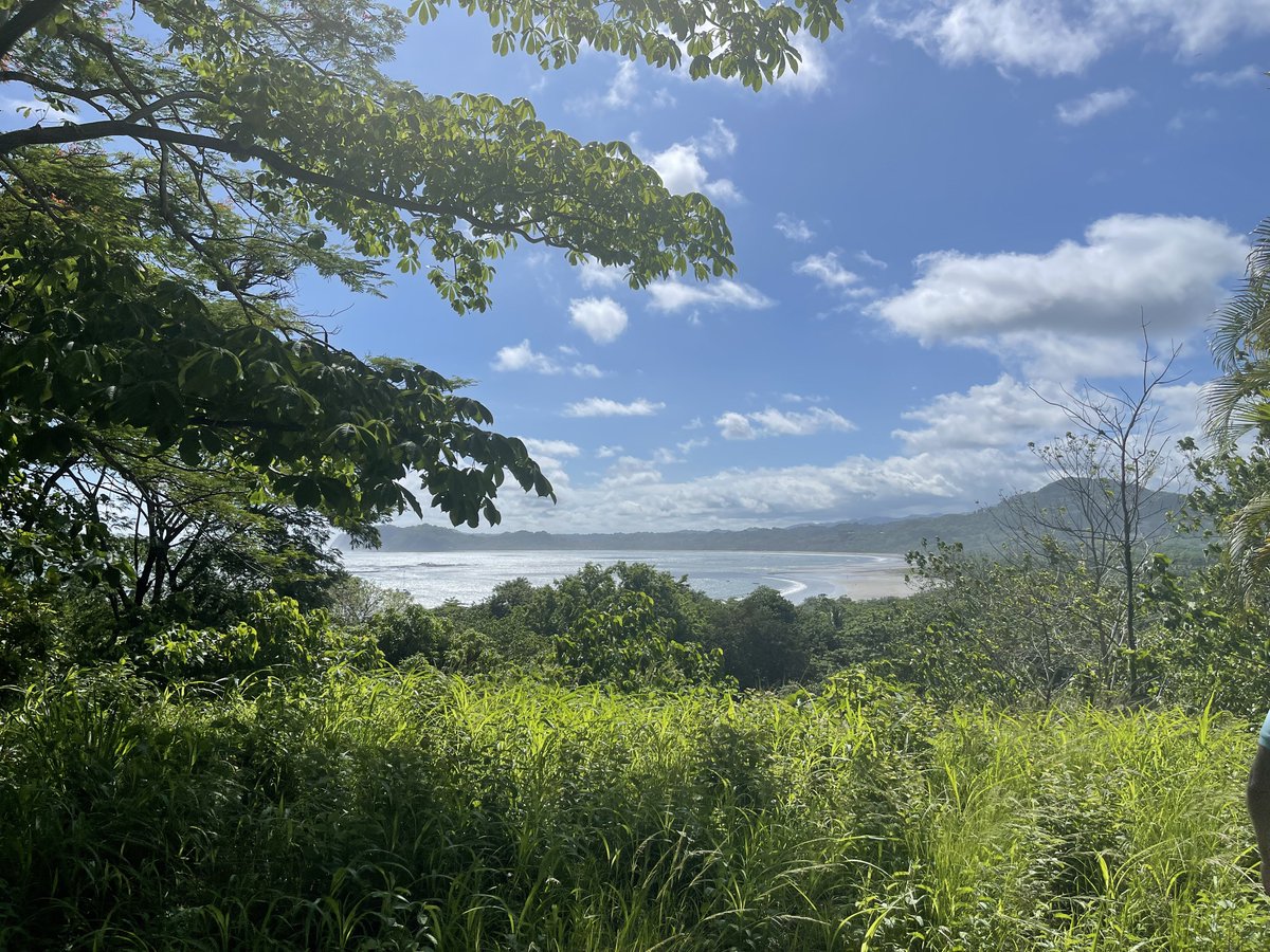 בפעם הראשונה שהגעתי לקוסטה ריקה לפני 3 שנים, החלטתי לבנות שם מלון. משהו קצת שונה, פחות אמריקאי, יותר ״טבעי״.
פרימיום, 16 חדרים גדולים, כל חדר 50-70 מ״ר.
הקמתי חברה מקומית, שכרנו אנשים שיעזרו ויצאנו לדרך.
מצאנו שטח מטורף, ייחודי, על גבעה באמצע ג׳ונגל מעל הים, 100 מטר מחוף פרטי, של