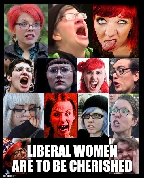 Mark Cuban says no "strong, intelligent women" support President Trump. 

Yet these are the type of women supporting kamala. What does that make your side?