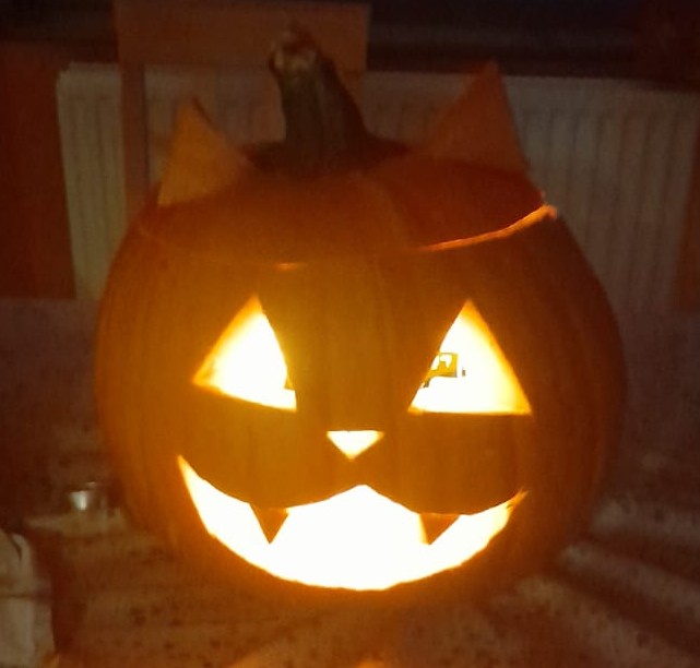 Happy Halloween all you crazy cats 😺🐈