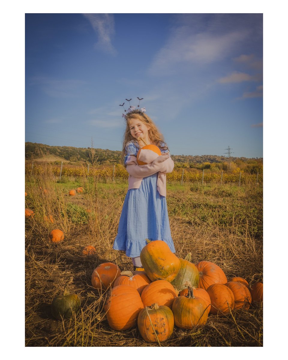 The Ruff Photographer tweet media