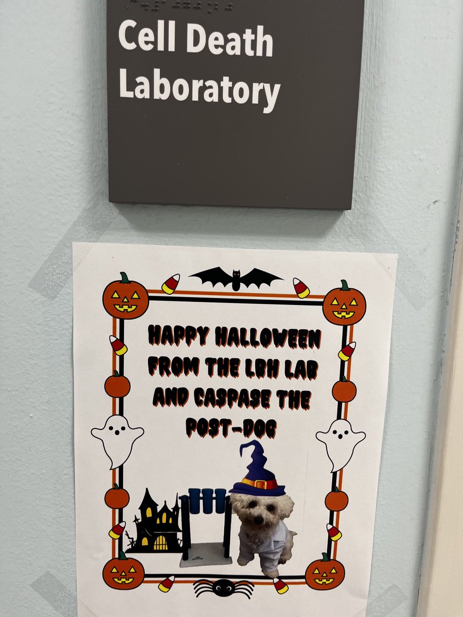 LisaBHayes_lab's tweet photo. Happy Halloween from the Bouchier-Hayes lab! https://t.co/KmIKymStX9